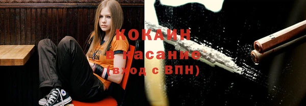ПСИЛОЦИБИНОВЫЕ ГРИБЫ Кодинск