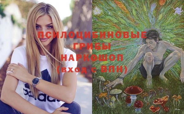 прущий лед Козельск