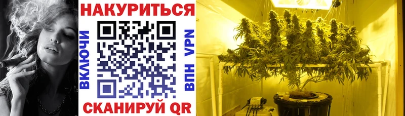 ОМГ ОМГ как зайти Кировград Шишки марихуана конопля